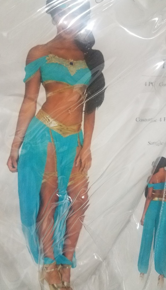 Jasmine Costume